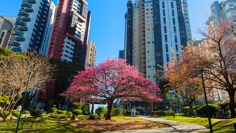 imóveis para alugar em Curitiba