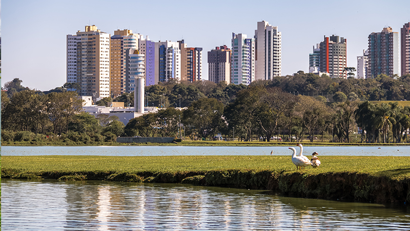 Imóveis para alugar em Curitiba: tipos de imóvel e faixas de preço